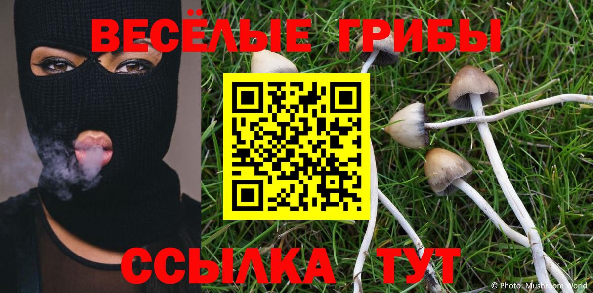 Галлюциногенные грибы GOLDEN TEACHER Сосновый Бор