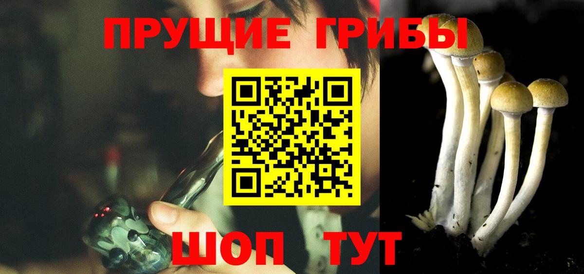 Галлюциногенные грибы мицелий  Вход с VPN  закладка  Сосновый Бор  Галлюциногенные грибы GOLDEN TEACHER 